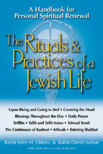 Rituals & Practices of a Jewish Life: A Handbook for Personal Spiritual Renewal