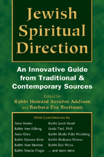 Jewish Spiritual Direction:  An Innovative Guide from Traditional & Contemporary Sources