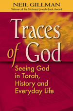 Traces of God: Seeing God in Torah, History and Everyday Life