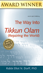 Way Into <I>Tikkun Olam </I> (Repairing the World) (PB)