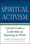 Spiritual Activism (HC)