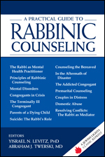 Practical Guide to Rabbinic Counseling