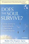 Does the Soul Survive? 2nd Edition A Jewish Journey to Belief in Afterlife