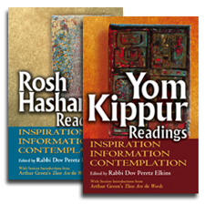 High Holy Days: Inspiration, Information, Contemplation<br>Two-Book Set