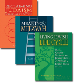 Reb Goldie Three-Book Set: 